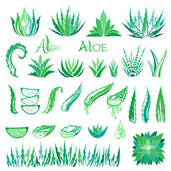 Aloe vera design elements. Stencil style.