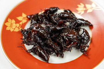 金沢名物・ほたるいかの佃煮