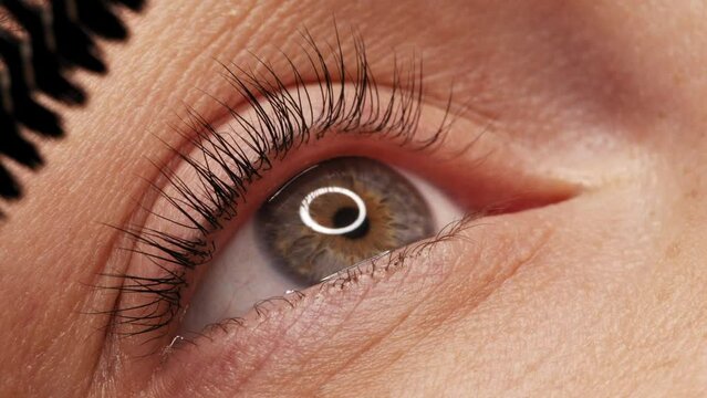 SLOW MOTION: A woman's eye with long black eyelashes after lamination. Closeup, girl's eye opening with long black eyelashes. Close-up of the human eye..