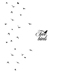 A flock of flying birds. Free birds. Background for text. Seamless pattern. Vector illustration