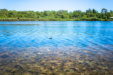 Lake Titreyen Gol in Turkey. Summer landscape with blue water and green trees behind © Anna