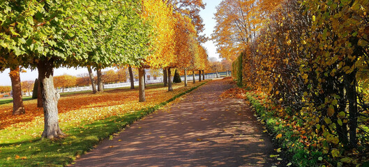 Gloden Autumn season with Beautiful romantic alley in a park with colorful trees and sunlight. autumn natural background.