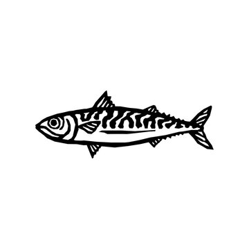 black and white mackerel fish drawing clip art preview