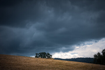 Fototapeta premium impending squall with rain, impending hurricane, impending rain, approaching storm, Prairie Storm, the storm is coming, approaching storm, thunderstorm, tornado, mesocyclone, climate, Shelf cloud