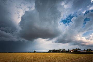 Fototapeta premium impending squall with rain, impending hurricane, impending rain, approaching storm, Prairie Storm, the storm is coming, approaching storm, thunderstorm, tornado, mesocyclone, climate, Shelf cloud