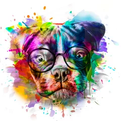 Tuinposter Dog's head in eyeglasses illustration on white background with colorful creative elements © reznik_val