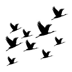 set of silhouettes of birds