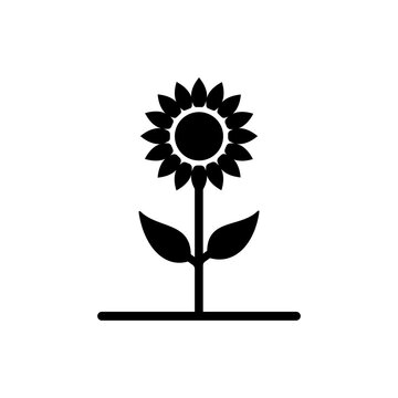 recommend clip art: Sunflower Icon Or Sunflower Silhouette Vector Illustration Editable