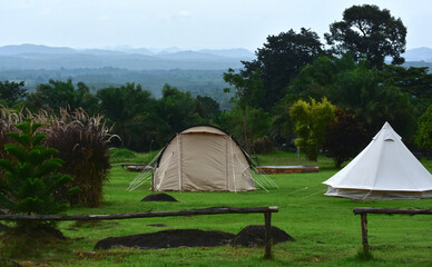  Tent camping in the midst of nature. © Diamon jewelry