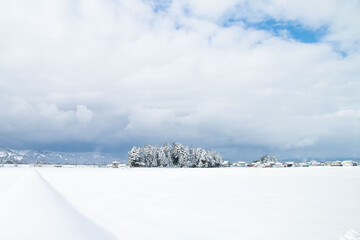 Fototapeta na wymiar 一面の雪景色