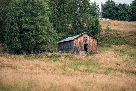 old barn in the woods, Åre, Jämtland, Norrland, Sweden, Sverige, Summer, Sommar.