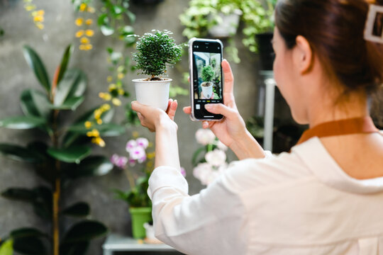 Asian beautiful young woman taking photo of small tree on pot by smartphone for sale at home.Online selling concept.