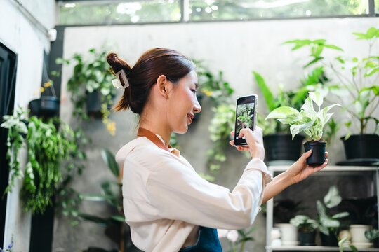 Asian beautiful young woman taking photo of small tree on pot by smartphone for sale at home.Online selling concept.