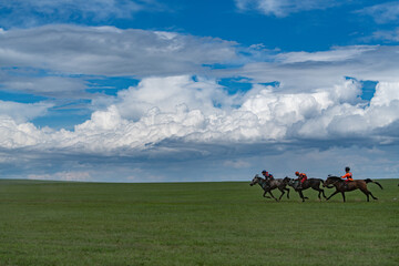 horse riding on a meadow