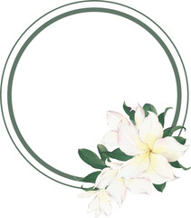 frame with plumeria flowers
