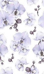 seamless pattern with orchid flowers