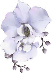 bouquet of orchid flowers