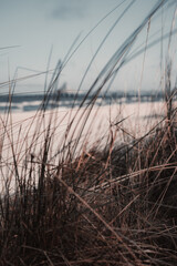 Fototapeta premium Düne