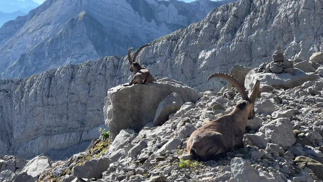 In der Schweiz am S&auml;ntis