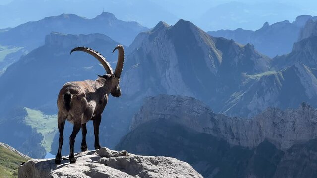 In der Schweiz am S&auml;ntis