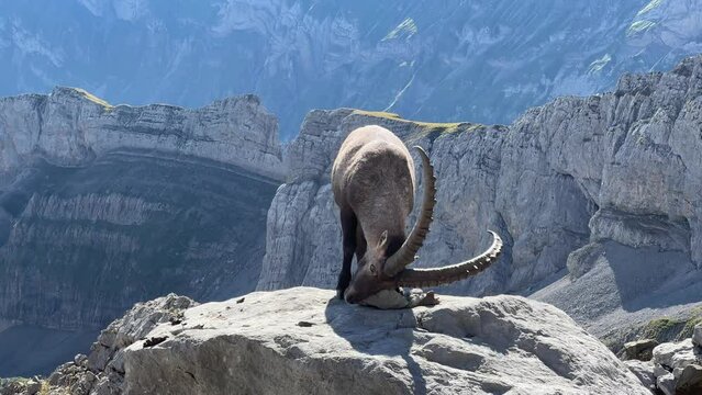 In der Schweiz am S&auml;ntis