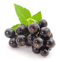 Black currants isolated.