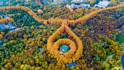 Aerial photography of Meiling Palace Scenic Spot in Nanjing City, Jiangsu Province, China in autumn and the Nanjing urban building complex in the distance