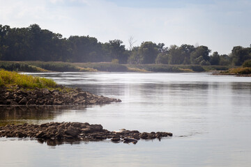 Martwa rzeka Odra po zatruciu na przełomie lipca i sierpnia 2022 roku - obrazy, fototapety, plakaty