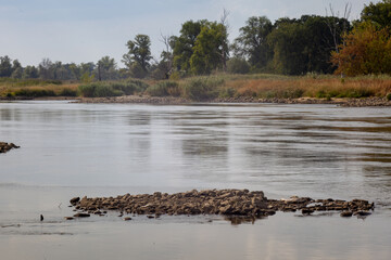 Śmierdząca rzeka Odra bez życia po zatruciu wody - obrazy, fototapety, plakaty