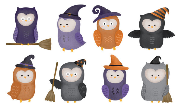 Watercolour Cute Halloween Owl, Witch owl, hand painted watercolor illustration, isolated on white
