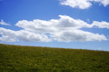 Fototapeta na wymiar Views over green fields and blue sky with clouds