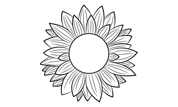 Sunflower vector art design sketch for adult