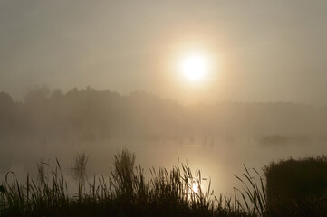 Obraz premium lake