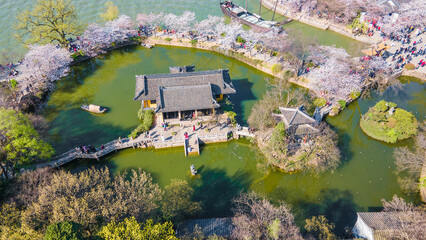 Aerial photography of Yuantouzhu scenic spot with cherry blossoms blooming in Wuxi City, Jiangsu Province, China in spring