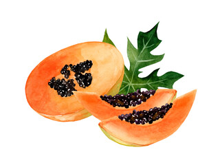 Whole and half of sweet ripe papaya fruit. Watercolor hand drawn illustration, isolated on white background
