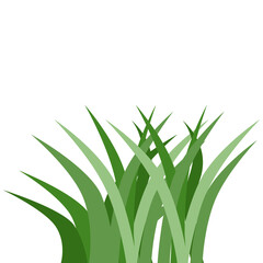 Plants Reed Shrubs Bush Trees Green Forest Realistic Nature