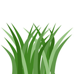 Plants Reed Shrubs Bush Trees Green Forest Realistic Nature