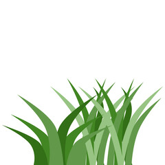 Plants Reed Shrubs Bush Trees Green Forest Realistic Nature