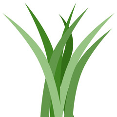 Plants Reed Shrubs Bush Trees Green Forest Realistic Nature