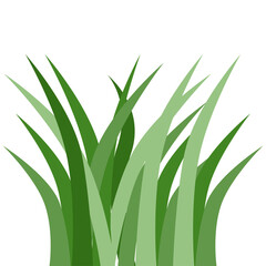 Plants Reed Shrubs Bush Trees Green Forest Realistic Nature