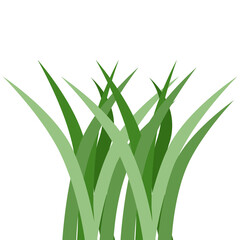 Plants Reed Shrubs Bush Trees Green Forest Realistic Nature