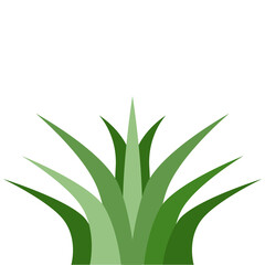 Plants Reed Shrubs Bush Trees Green Forest Realistic Nature