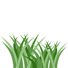 Plants Reed Shrubs Bush Trees Green Forest Realistic Nature