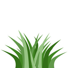 Plants Reed Shrubs Bush Trees Green Forest Realistic Nature