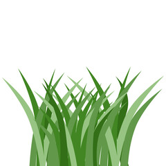 Plants Reed Shrubs Bush Trees Green Forest Realistic Nature