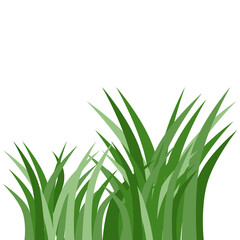 Plants Reed Shrubs Bush Trees Green Forest Realistic Nature