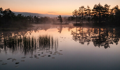 beautiful morning landscape on the lake