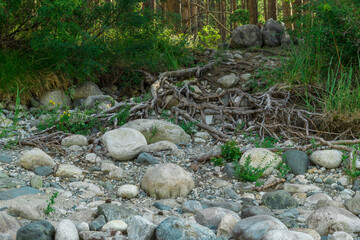 large white stones on the bank of a mountain river