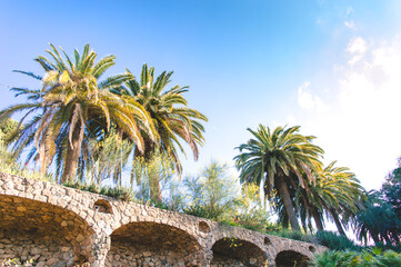 Stairs of bridge with palm trees and blue sky in the city