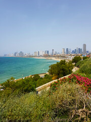 Widok na Tel Aviv - obrazy, fototapety, plakaty